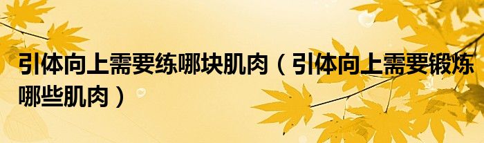 引体向上需要练哪块肌肉（引体向上需要锻炼哪些肌肉）