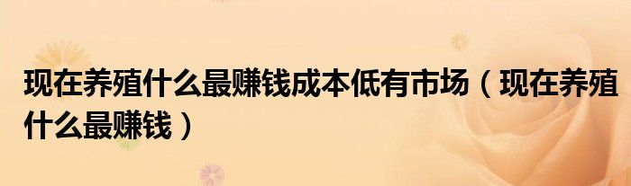现在养殖什么最赚钱成本低有市场（现在养殖什么最赚钱）