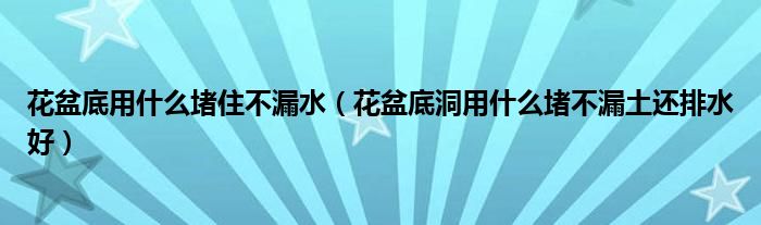 花盆底用什么堵住不漏水（花盆底洞用什么堵不漏土还排水好）