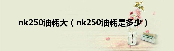 nk250油耗大（nk250油耗是多少）