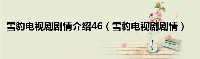 雪豹电视剧剧情介绍46（雪豹电视剧剧情）