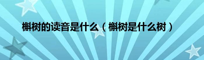 槲树的读音是什么（槲树是什么树）