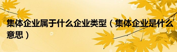 集体企业属于什么企业类型（集体企业是什么意思）