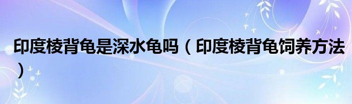 印度棱背龟是深水龟吗（印度棱背龟饲养方法）