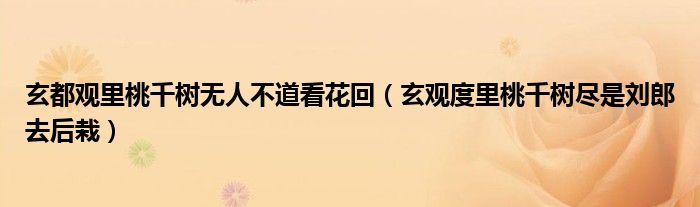 玄都观里桃千树无人不道看花回（玄观度里桃千树尽是刘郎去后栽）