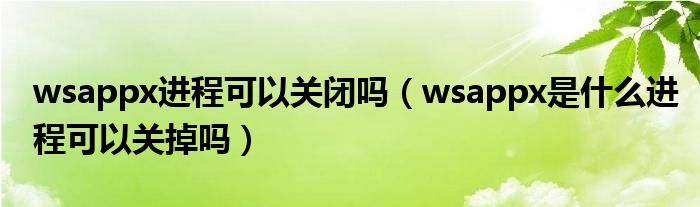 wsappx进程可以关闭吗（wsappx是什么进程可以关掉吗）