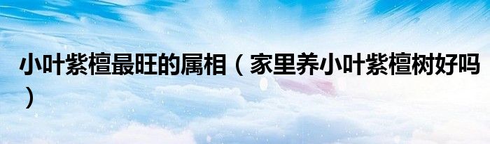 小叶紫檀最旺的属相（家里养小叶紫檀树好吗）