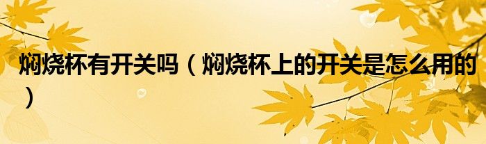 焖烧杯有开关吗（焖烧杯上的开关是怎么用的）