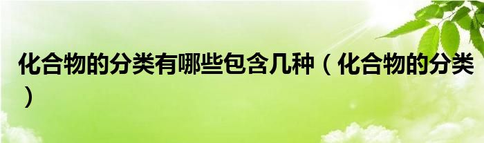 化合物的分类有哪些包含几种（化合物的分类）