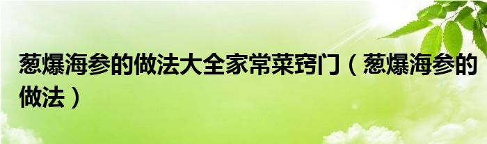 葱爆海参的做法大全家常菜窍门（葱爆海参的做法）