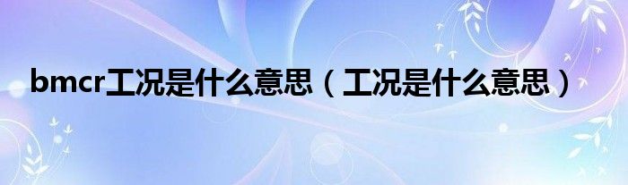 bmcr工况是什么意思（工况是什么意思）