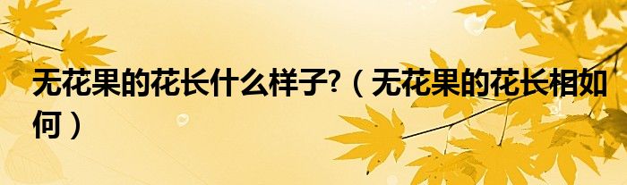 无花果的花长什么样子?（无花果的花长相如何）