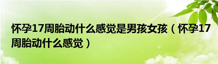 怀孕17周胎动什么感觉是男孩女孩（怀孕17周胎动什么感觉）