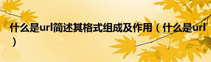 什么是url简述其格式组成及作用（什么是url）