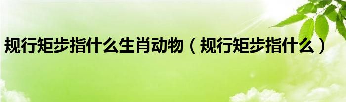 规行矩步指什么生肖动物（规行矩步指什么）
