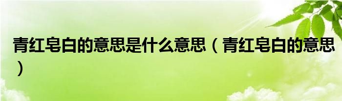 青红皂白的意思是什么意思（青红皂白的意思）