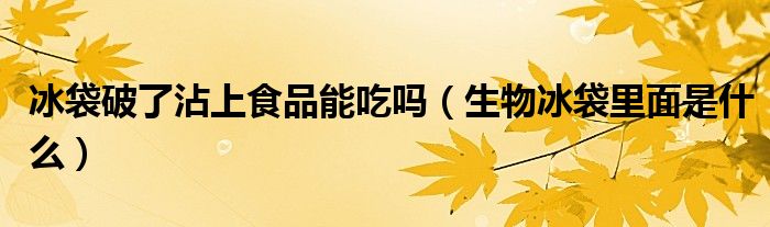 冰袋破了沾上食品能吃吗（生物冰袋里面是什么）