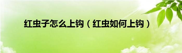 红虫子怎么上钩（红虫如何上钩）