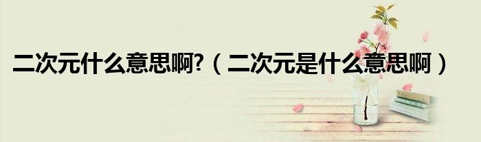 二次元什么意思啊?（二次元是什么意思啊）