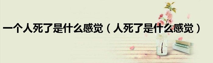 一个人死了是什么感觉（人死了是什么感觉）