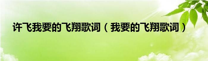 许飞我要的飞翔歌词（我要的飞翔歌词）