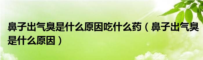 鼻子出气臭是什么原因吃什么药（鼻子出气臭是什么原因）