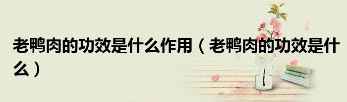 老鸭肉的功效是什么作用（老鸭肉的功效是什么）