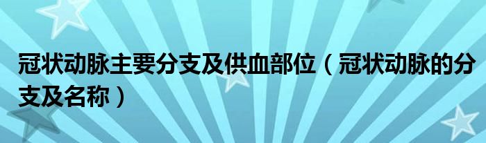 冠状动脉主要分支及供血部位（冠状动脉的分支及名称）