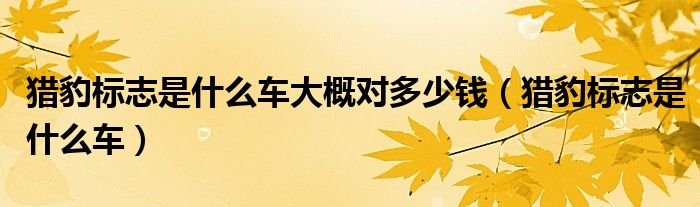 猎豹标志是什么车大概对多少钱（猎豹标志是什么车）