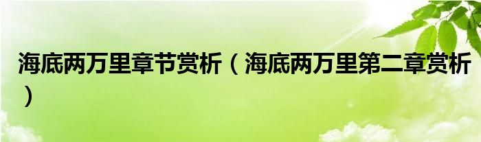 海底两万里章节赏析（海底两万里第二章赏析）