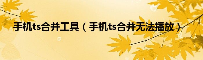 手机ts合并工具（手机ts合并无法播放）