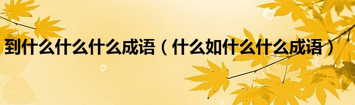 到什么什么什么成语（什么如什么什么成语）