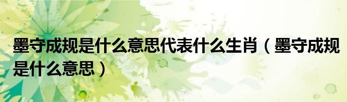 墨守成规是什么意思代表什么生肖（墨守成规是什么意思）
