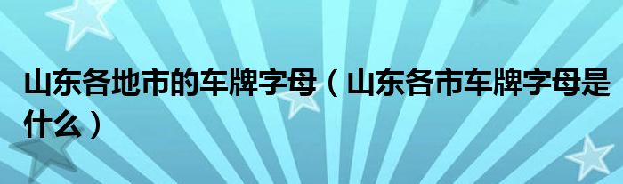 山东各地市的车牌字母（山东各市车牌字母是什么）