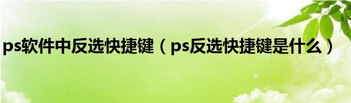 ps软件中反选快捷键（ps反选快捷键是什么）