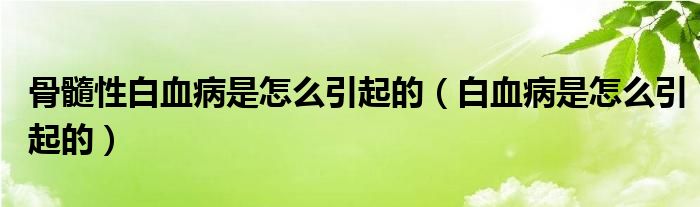 骨髓性白血病是怎么引起的（白血病是怎么引起的）
