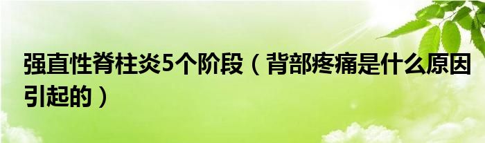 强直性脊柱炎5个阶段（背部疼痛是什么原因引起的）