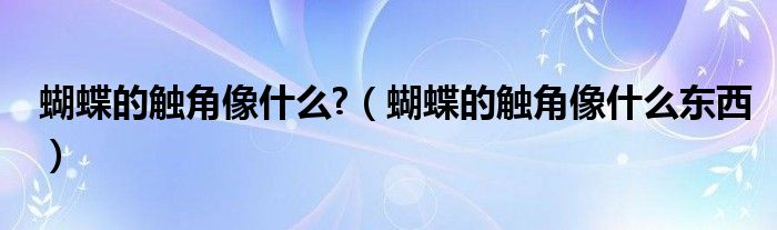 蝴蝶的触角像什么?（蝴蝶的触角像什么东西）