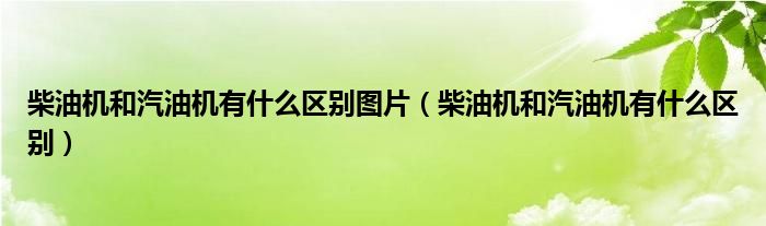 柴油机和汽油机有什么区别图片（柴油机和汽油机有什么区别）