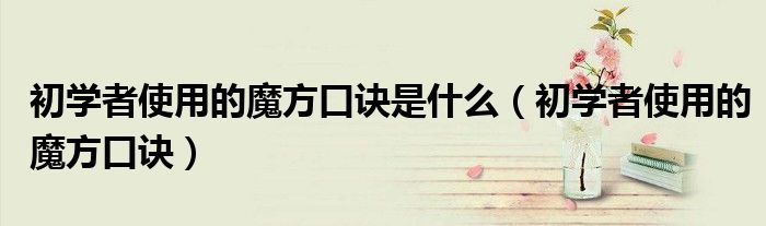 初学者使用的魔方口诀是什么（初学者使用的魔方口诀）