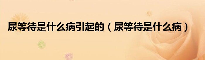 尿等待是什么病引起的（尿等待是什么病）