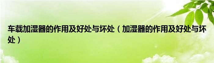 车载加湿器的作用及好处与坏处（加湿器的作用及好处与坏处）