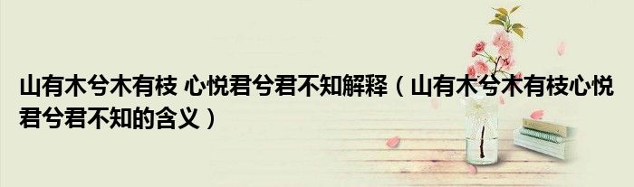 山有木兮木有枝 心悦君兮君不知解释（山有木兮木有枝心悦君兮君不知的含义）