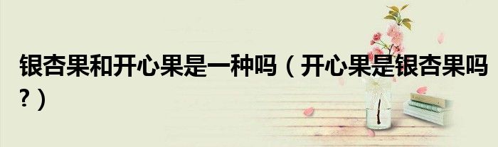 银杏果和开心果是一种吗（开心果是银杏果吗?）
