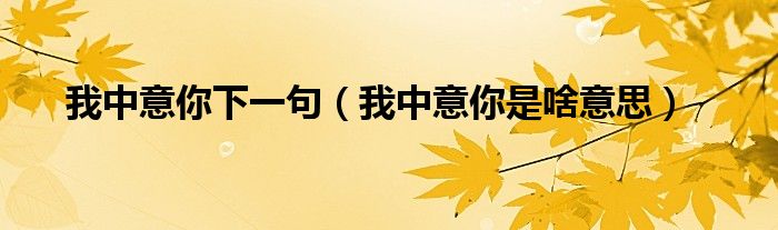 我中意你下一句（我中意你是啥意思）