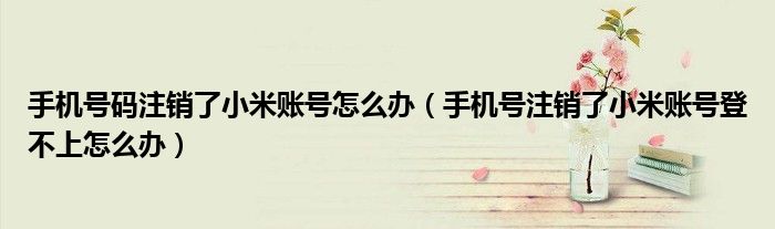 手机号码注销了小米账号怎么办（手机号注销了小米账号登不上怎么办）