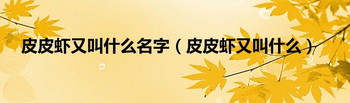 皮皮虾又叫什么名字（皮皮虾又叫什么）