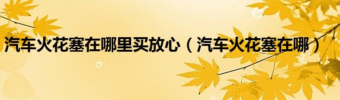 汽车火花塞在哪里买放心（汽车火花塞在哪）