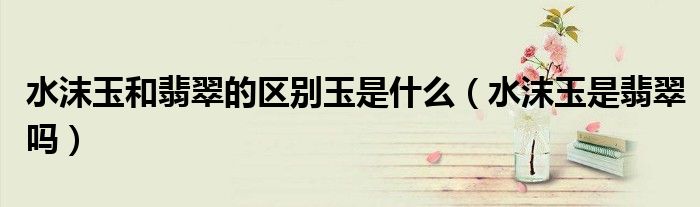 水沫玉和翡翠的区别玉是什么（水沫玉是翡翠吗）