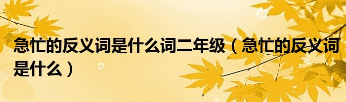 急忙的反义词是什么词二年级（急忙的反义词是什么）